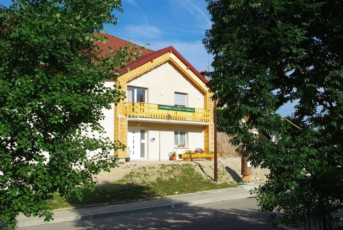 photo 0