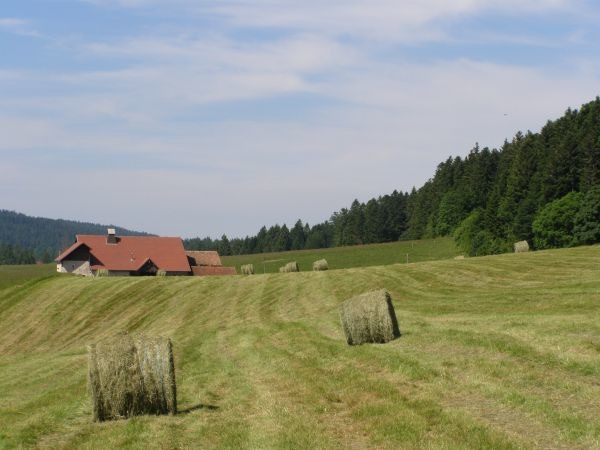 Ferme Des Louisots Location Chambre d'hôtes n°25G628, à Fournet-blancheroche dans le doubs