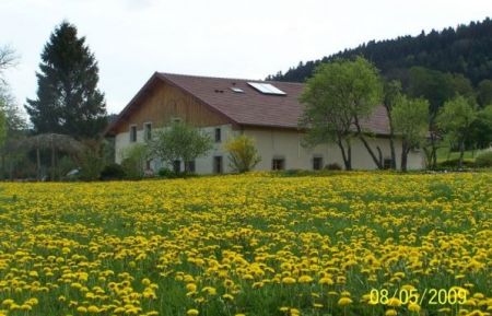 Chambre d'hôtes n°25G436 Pierrefontaine-les-Varans - Doubs - photoEte